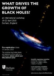 Link to Black Hole workshop website