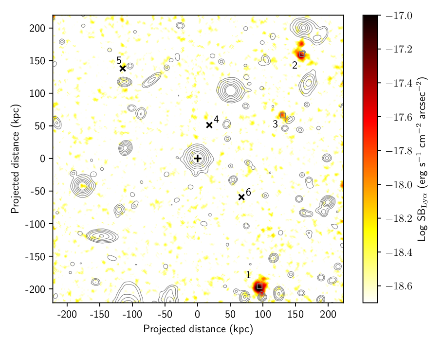 Pristine gas in the MUSE Analysis of Gas around Galaxies Survey