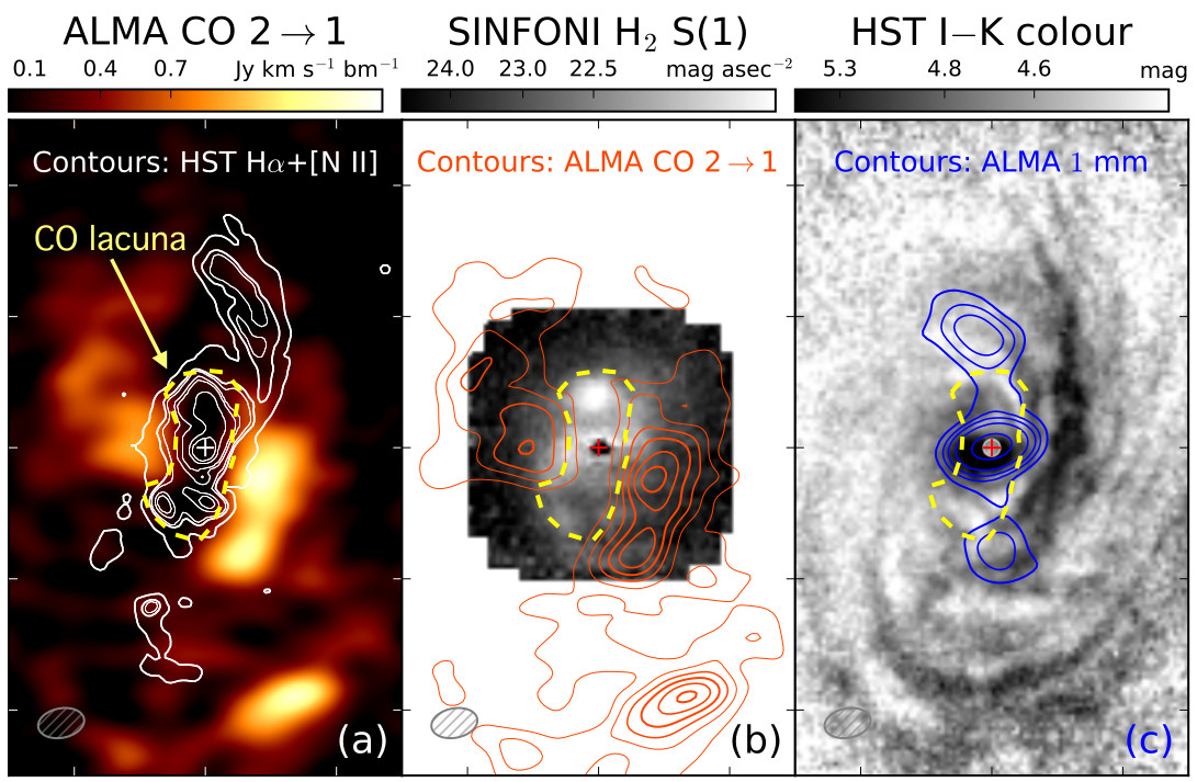 Sharp Eyes on	Cold Gas: ALMA observations of the Seyfert galaxy NGC 2110
