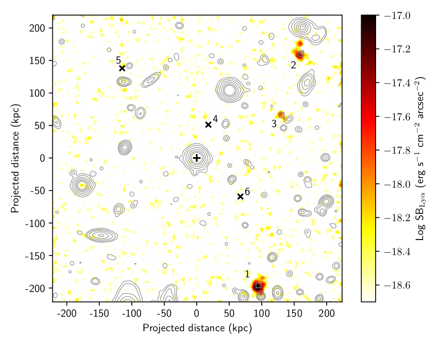 Simulation of galaxies and gas in the Universe. Credit: TNG Collaboration.