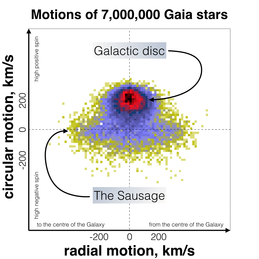 Velocity space distribution of Gaia Sausage stars showing the characteristic sausage-shaped feature caused by radial orbits from a past head-on merger